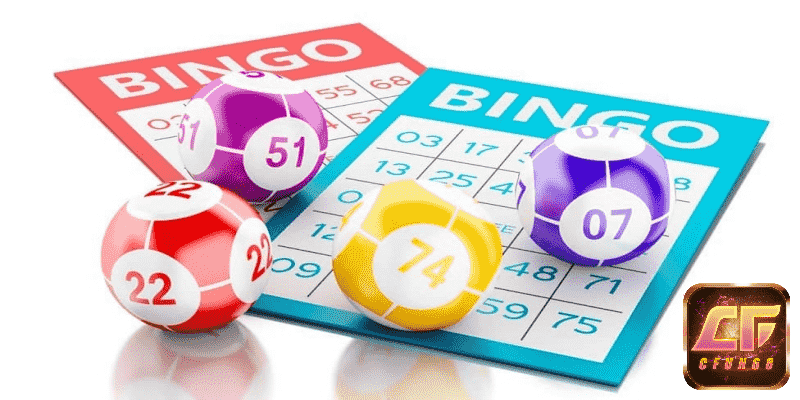 bingo game là gì
