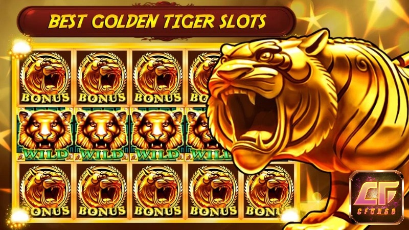 Golden Tiger sở hữu phần thưởng cực khủng 